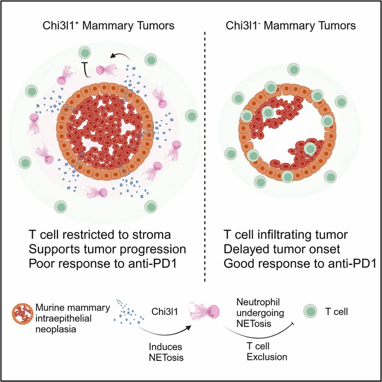 Ocean Biomedical Picture