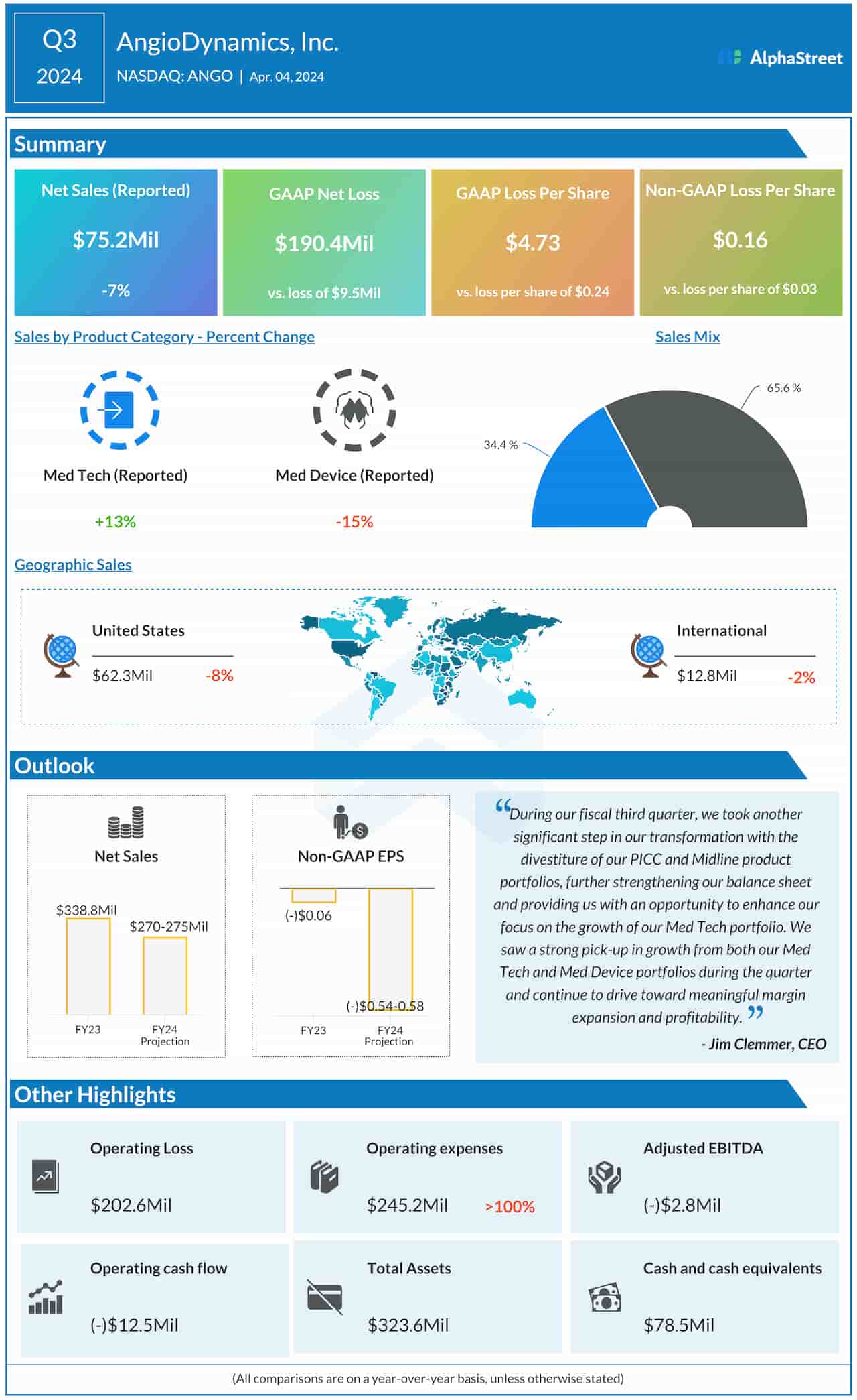 AngioDynamics Q3 2024 earnings infographic